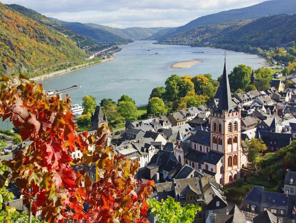 Ferienwohnung "Gecko" Andernach Esterno foto